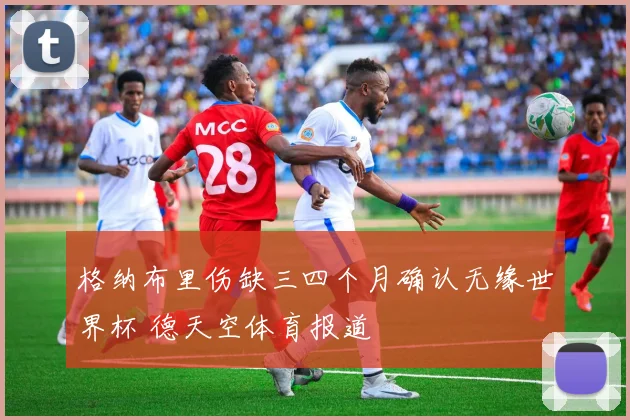 格纳布里伤缺三四个月确认无缘世界杯 德天空体育报道